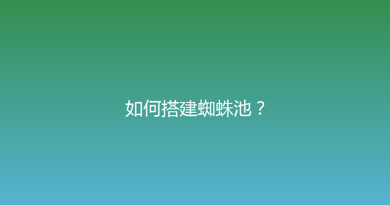 如何搭建蜘蛛池？ 封面图