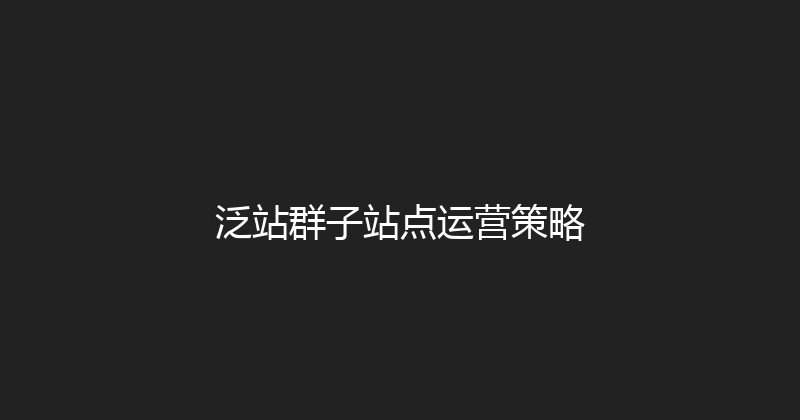 泛站群子站点运营策略 封面图
