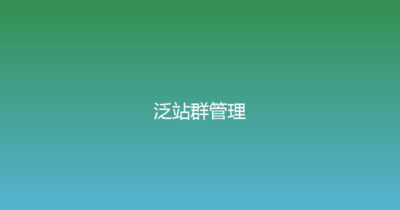 泛站群管理 封面图